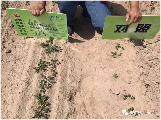 ���������������������ꡰ�������棡