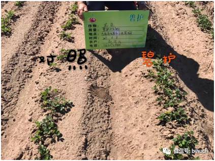 ���������������������ꡰ�������棡