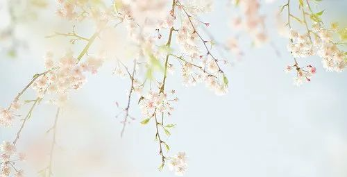 广东省岭南工商第一技师学院2024招生简章