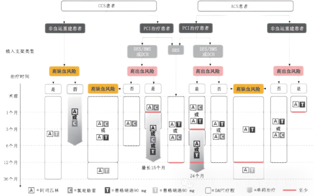 冠心病双联抗血小板治疗中国专家共识
