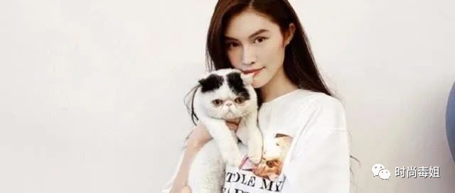 仙姑何穗晒生活照，与小猫咪一起营业，看起来太可爱了