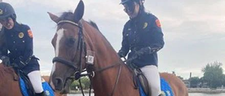 狗子跟马合照刚开始以为是假的，结果一抬头吓得腿都软了：快抱我起来！