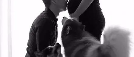 女子养了11只哈士奇，怀孕后还坚持养着它们，没想到结局太暖了！