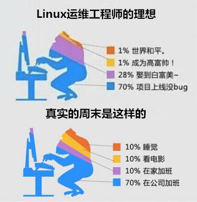 请好好善待你身边的Linux运维工程师，因为他们...