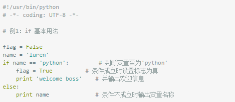 实战案例手把手教你Python流程控制技巧