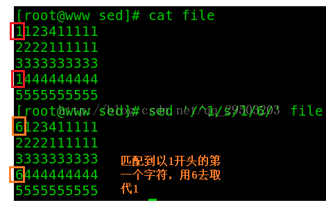 一篇文章学会shell工具篇之sed