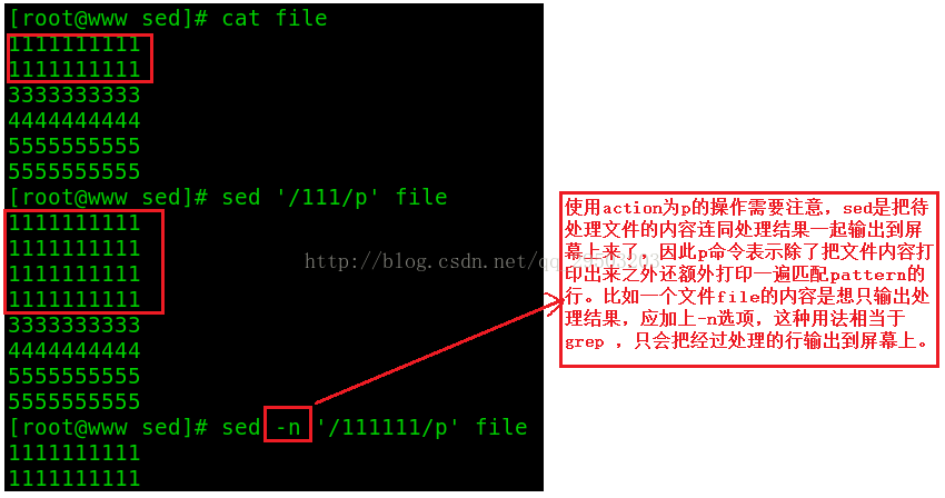 一篇文章学会shell工具篇之sed