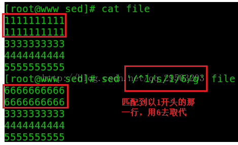 一篇文章学会shell工具篇之sed