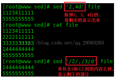 一篇文章学会shell工具篇之sed