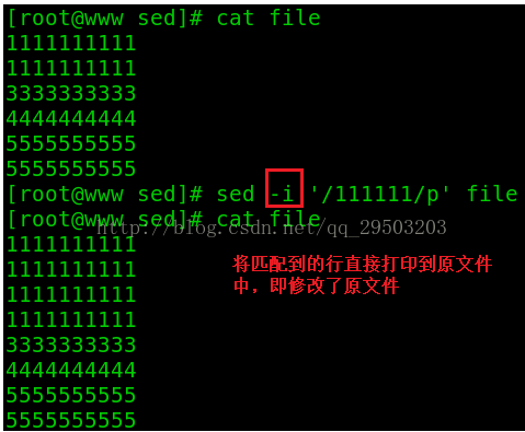 一篇文章学会shell工具篇之sed