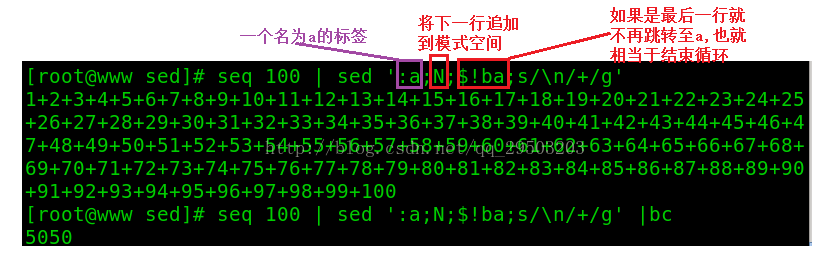 一篇文章学会shell工具篇之sed