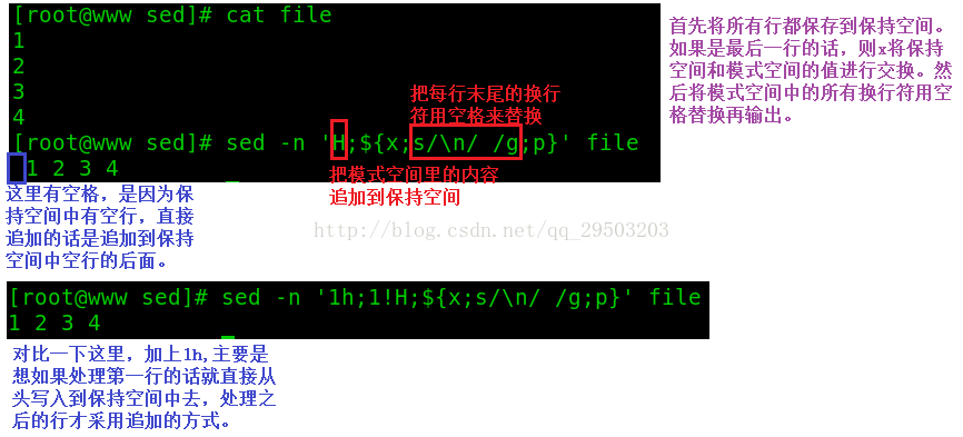 一篇文章学会shell工具篇之sed