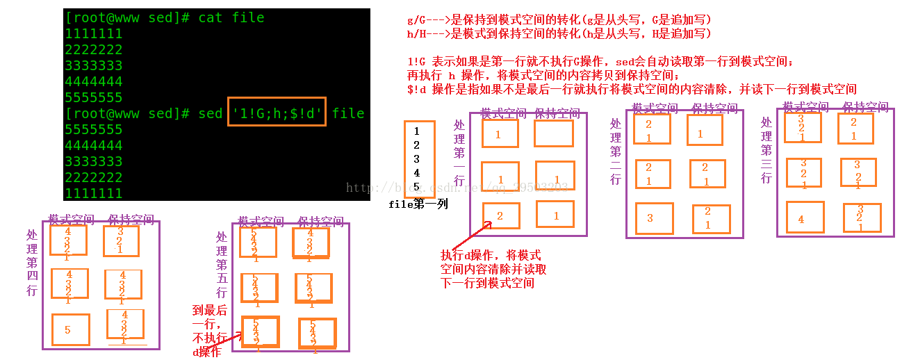 一篇文章学会shell工具篇之sed