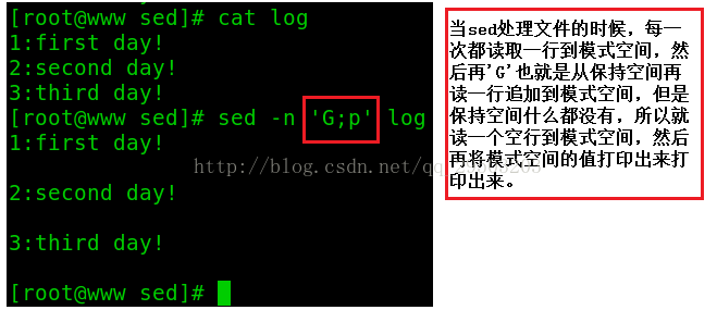 一篇文章学会shell工具篇之sed