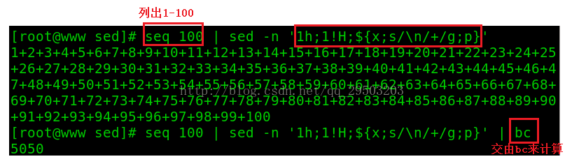 一篇文章学会shell工具篇之sed