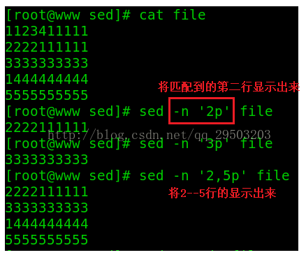 一篇文章学会shell工具篇之sed