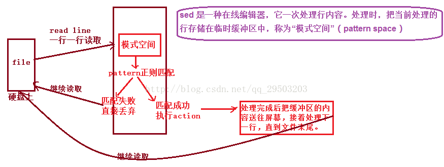 一篇文章学会shell工具篇之sed