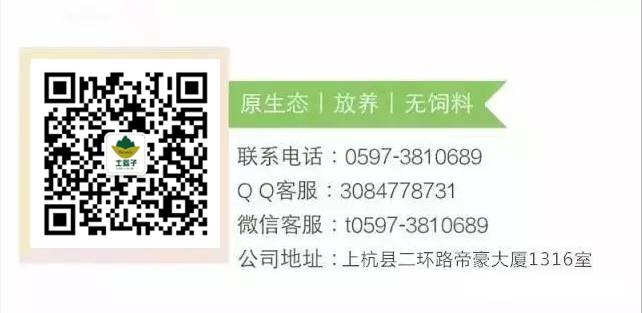 震惊！“猪"竟然是人类的祖先？