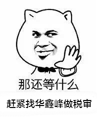 小编代理税审报告