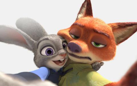 12星女和对象年龄差多少最靠谱？