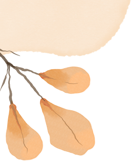 便荔卡包额度取不出来，盈小花、好豚友、兔优选一样取出来