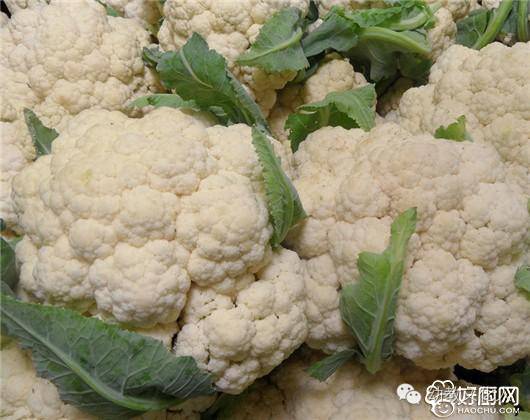 【膳食营养】六种食物让幼儿冬季长不停-幼师课件网