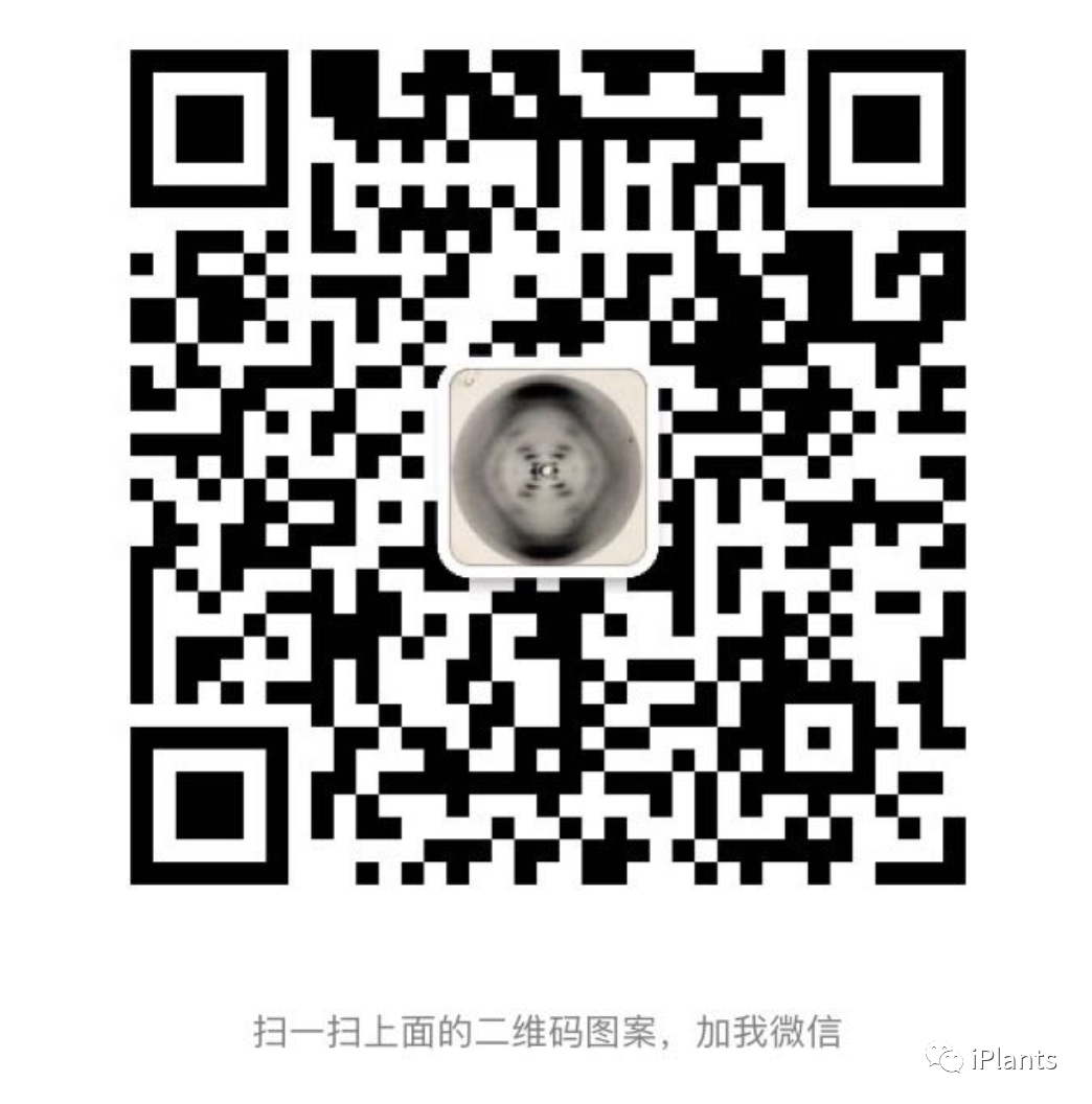 提高农产品产量的方法