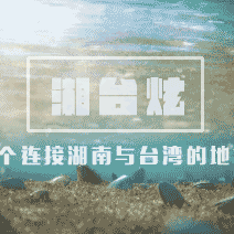 cover_image