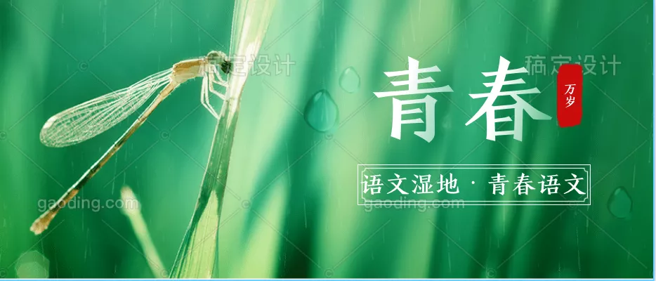 【青春语文·唐娟专栏】2022年深圳市中考作文下水习作