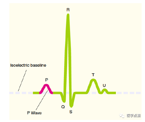 心电图总是记不住？这些基础知识一定要掌握！