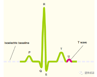 心电图总是记不住？这些基础知识一定要掌握！