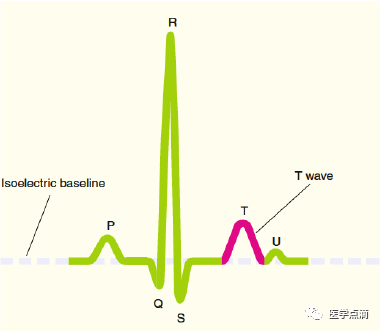 心电图总是记不住？这些基础知识一定要掌握！