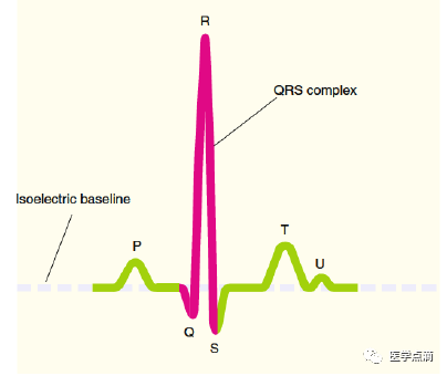 心电图总是记不住？这些基础知识一定要掌握！