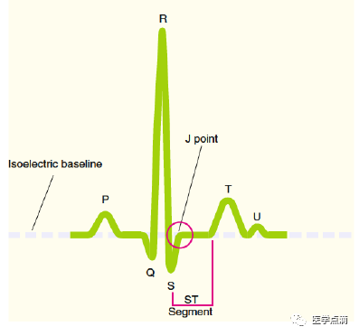 心电图总是记不住？这些基础知识一定要掌握！