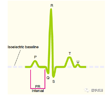 心电图总是记不住？这些基础知识一定要掌握！