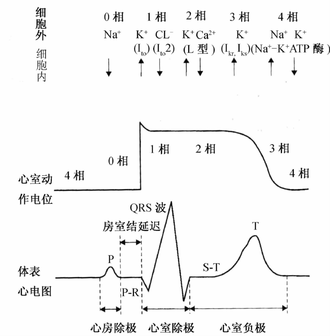 一文道尽『ST-T改变』的种种困惑！