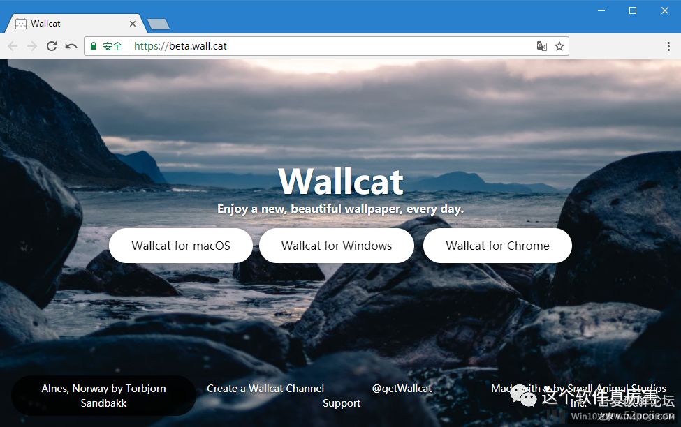 Wallcat-自动换壁纸的小软件，支持macOS、Windows和Chrome扩展