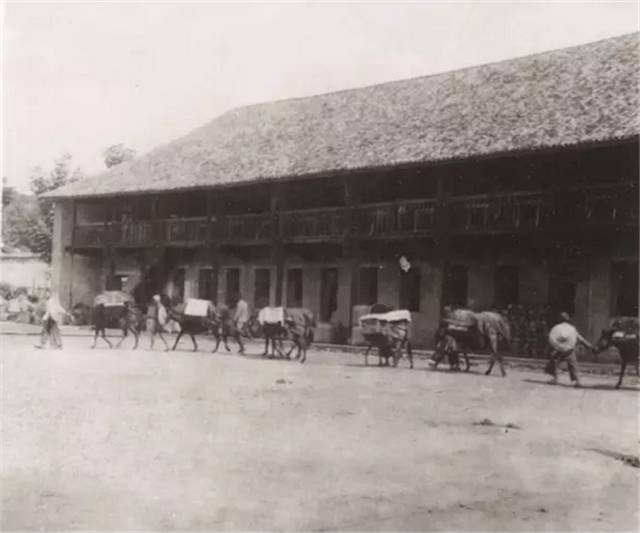 黑茶，为什么会成为茶中的“巨无霸”