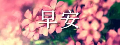 广东商务外语专业在哪里读