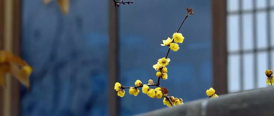 卸下你的累（写的真好）