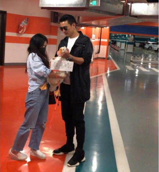 保剑锋被粉丝送鹅,这个礼物太意外,他牵鹅的样子很萌