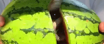 你好，吃西瓜吗？