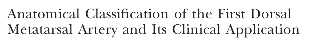 第1跖背动脉解剖与分型
