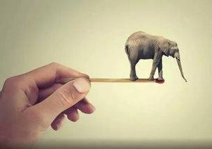 从本科历史系转行成为世界著名物理学家！大学生在校这样提高素质