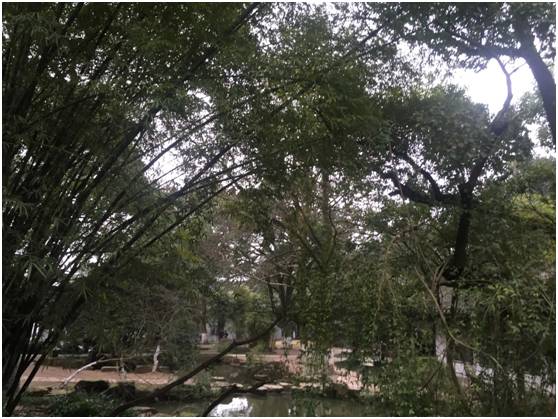 步履不停，长沙行记