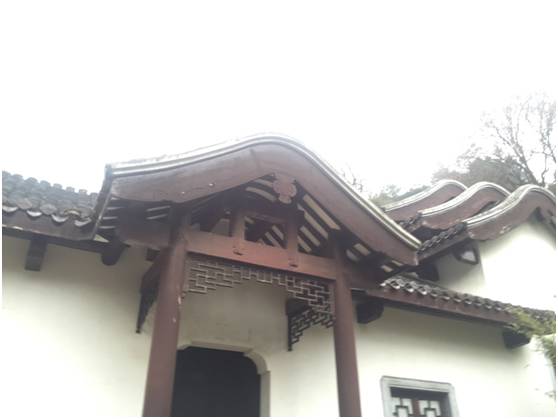 步履不停，长沙行记