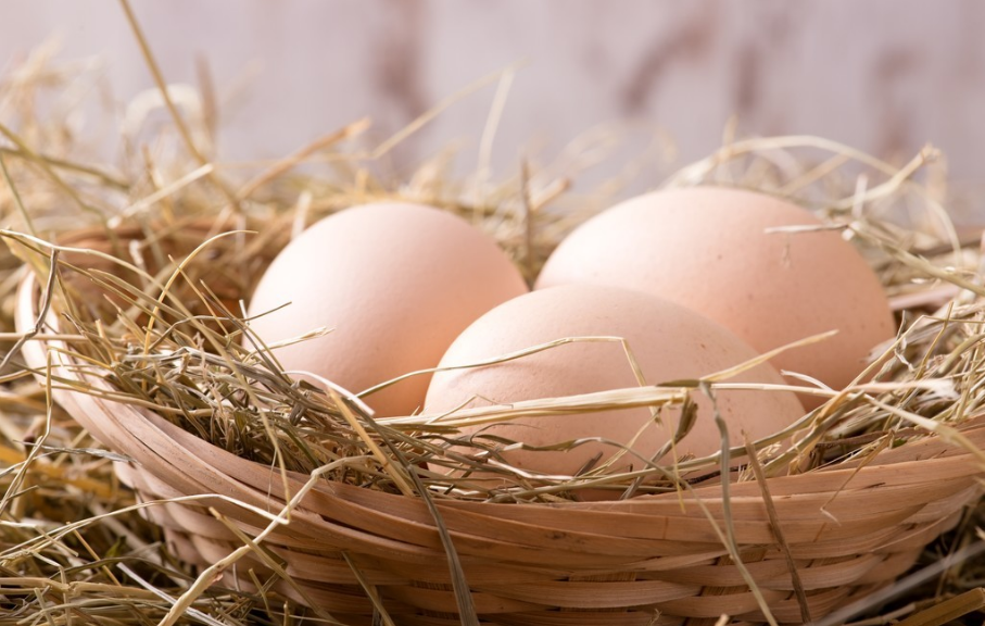 提个醒：营养是鸡蛋的14倍，是牛奶的7.5倍，夏天多吃，抵抗力提高10倍！全家受益！