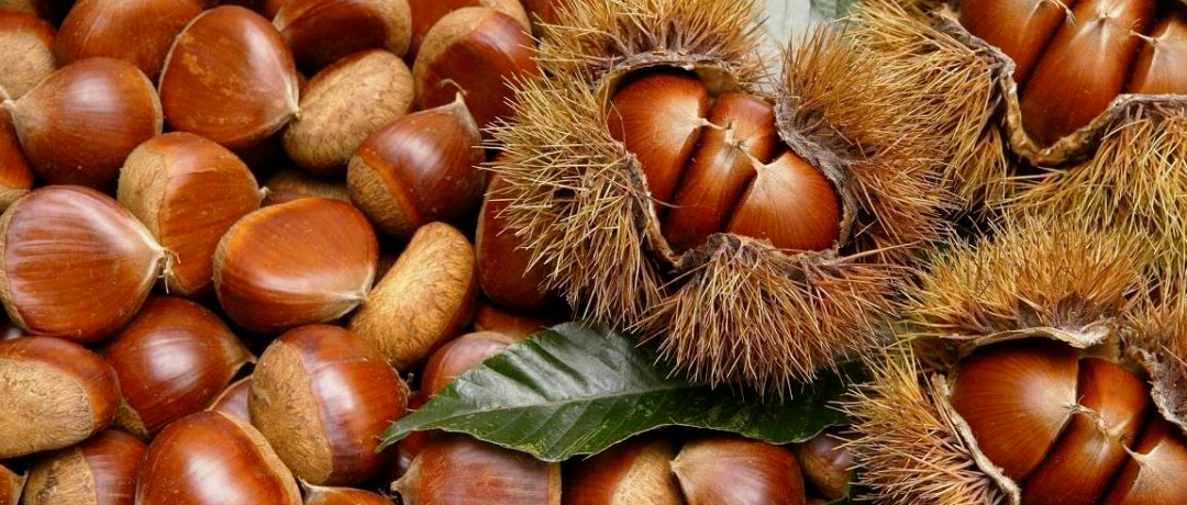 痛风也有“天然特效药”？日常坚持吃这4物，老了会感谢自己！