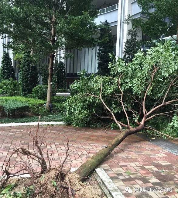 å…«å·é£Žçƒ å…¨æ¸¯åœå·¥ ç§©åºäº•ç„¶ å°é£Žè¢­æ¸¯ ä¸ºä½•ç«Ÿæ˜¯è¿™ç•ªæ™¯è±¡ è‡ªç