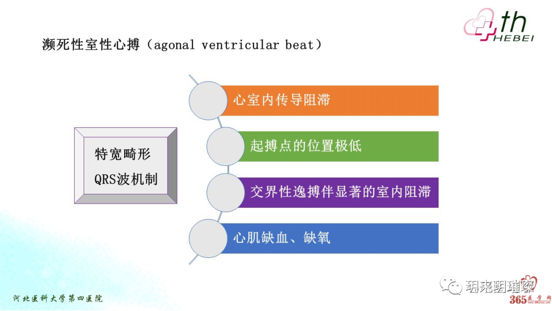 心电图如何报告死亡与濒死心电图​诊断